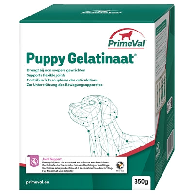 Primeval Gelatinat Hund
