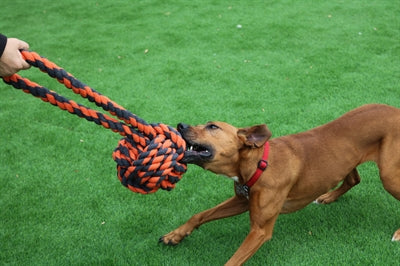 Happy Pet Nüsse Für Knoten Extreme Ball Tugger