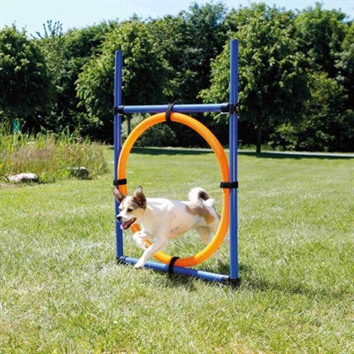 Trixie Hund Aktivität Agility Ring Blau/Orange