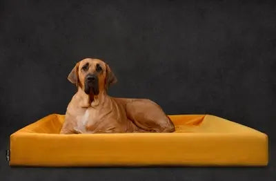 Bia Bett Royal Samtbezug Für Hundekorb Ocker