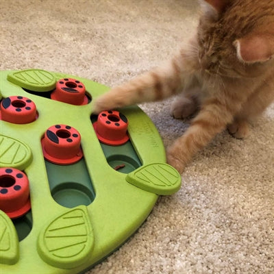 Nina Ottosson Puzzle & Play Buggin Out Green
