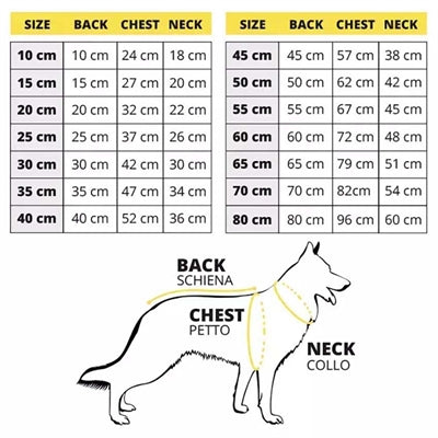Croci Nevermind Dog Jumper schwarz – Rückenansicht mit Aufdruck