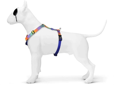 Morso H-Leine Hundegeschirr Frühlingsblüte seitliche Ansicht angelegt