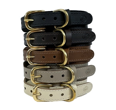 Sazzz Pioneer Classic Hundehalsband Leder schwarz am Hund – Hundehalsband zeitlos schwarz elegant