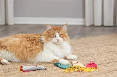 Trixie Maus Plüsch Mit Katzenminze Assortiert