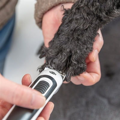 Trixie Clipper TR500 Slim kabellos – Nahaufnahme Bedienelemente und Ladeanschluss