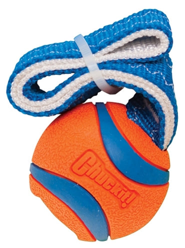 Chuckit Ultra Tug Hundespielzeug, Nahaufnahme des strapazierfähigen Materials