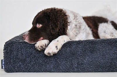 Bia Bett Fleecebezug Hundekorb Grau