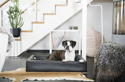 Bia Bett Hundekorb Original Schwarz