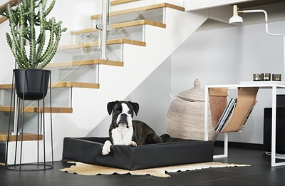 Bia Bett Hundekorb Original Schwarz