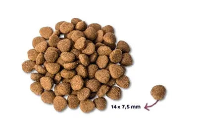 Renske Super Premium Erwachsene Pute / Ente