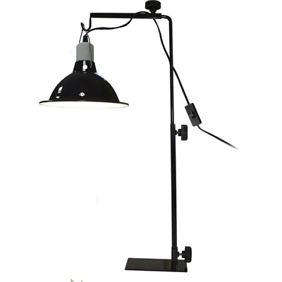 Komodo Licht Standard