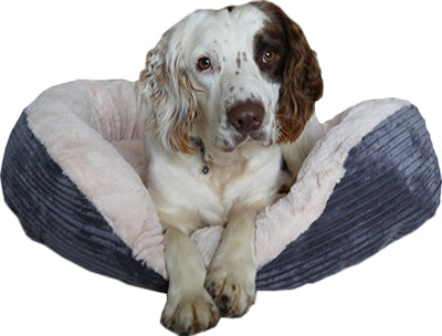 Rosewood Hundekorb Oval Jumbo Cord Plüsch Grau/Creme