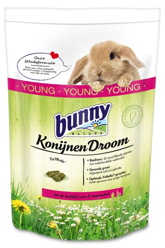 Bunny Nature Kaninchen Traum Jung