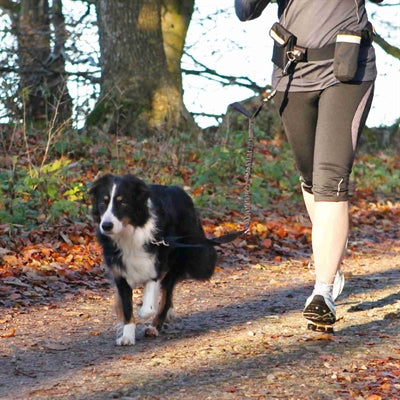 Trixie Taillengürtel Mit Jogginghose Schwarz