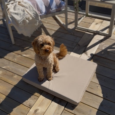 Bia Bettmatratze Outdoor-Liege Taupe