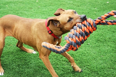 Happy Pet Muttern Für Knoten Extreme Spule 8 Form Tugger Grau/Orange