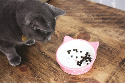 Happy Pet Fressnapf Katze Polka Rosa/Creme