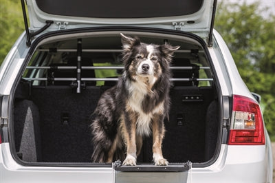 Trixie Hundetransportwagen Silber/Schwarz