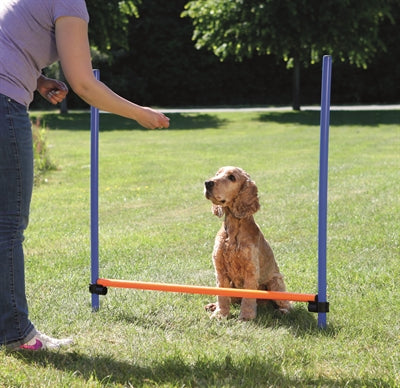 Trixie Hund Aktivität Agilität Horde Blau/Orange