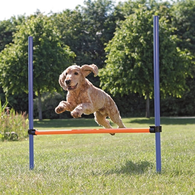 Trixie Hund Aktivität Agilität Horde Blau/Orange