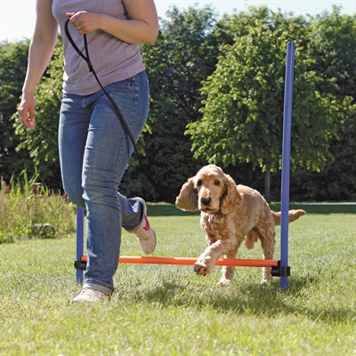 Trixie Hund Aktivität Agilität Horde Blau/Orange