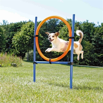 Trixie Hund Aktivität Agility Ring Blau/Orange