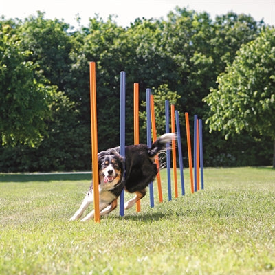 Trixie Hund Aktivität Agilität Slalom Sticks Blau / Orange