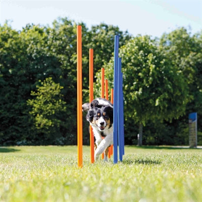 Trixie Hund Aktivität Agilität Slalom Sticks Blau / Orange