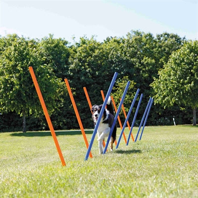 Trixie Hund Aktivität Agilität Slalom Sticks Blau / Orange