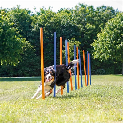Trixie Hund Aktivität Agilität Slalom Sticks Blau / Orange