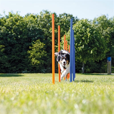 Trixie Hund Aktivität Agilität Slalom Sticks Blau / Orange