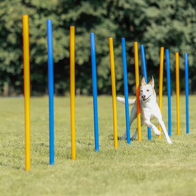 Trixie Hund Aktivität Agilität Slalom Sticks Blau / Orange