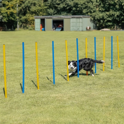 Trixie Hund Aktivität Agilität Slalom Sticks Blau / Orange
