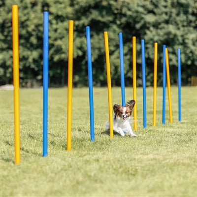 Trixie Hund Aktivität Agilität Slalom Sticks Blau / Orange