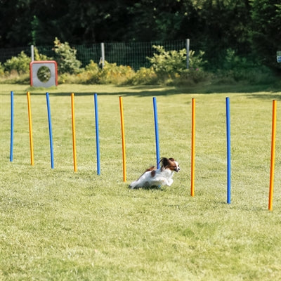 Trixie Hund Aktivität Agilität Slalom Sticks Blau / Orange
