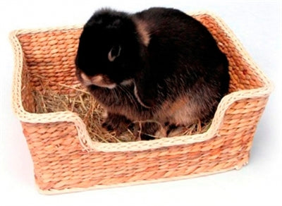 Rosewood Chill 'N' Snooze Nagetierbett