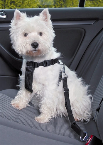 Trixie Nylon Hundegurt schwarz mit universeller Gurtbefestigung