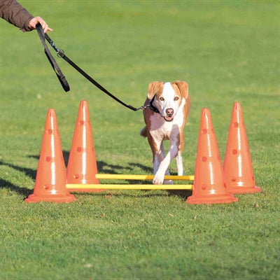Trixie Hundesporthürden-Set