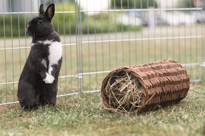 Trixie Weidentunnel-Kaninchen