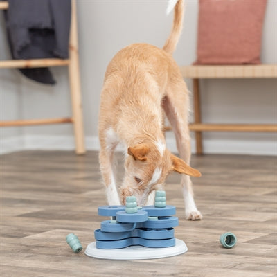 Trixie Hund Aktivität Intelligenz Spiel Blumenturm
