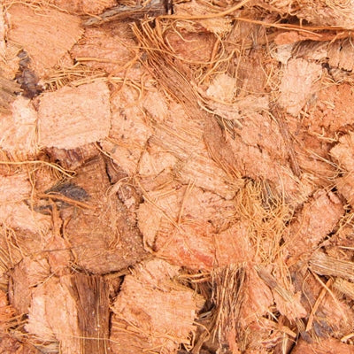 Trixie Kokosnuss-Chips Substrat Nahaufnahme – grobe Kokos-Späne Reptilien Einstreu Textur