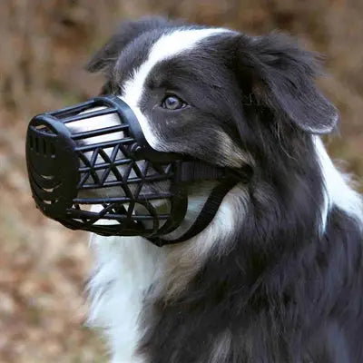Trixie Mündung Kunststoff Schwarz
