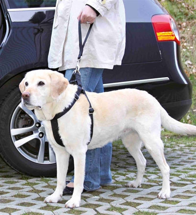 Trixie Auto-Sicherheitsgurt kurz universell Befestigung Seitenansicht