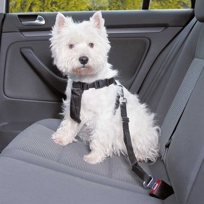 Trixie Hundegurt schwarz aus Nylon für sicheren Transport im Auto