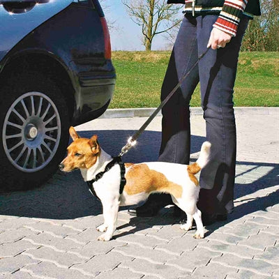 Trixie Sicherheitsgurt Hund schwarz Nylon mit Gurtschloss Detailansicht