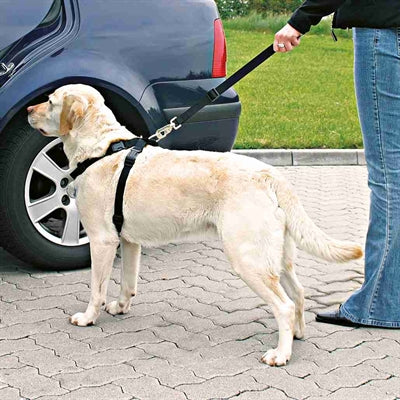 Verstellbarer Trixie Hundegurt schwarz Seitenansicht mit Verschluss