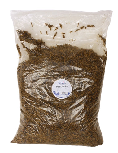 De Vries Schwarze Soldatenfliegen als Nahrungsergänzung für Vögel, proteinreicher Insektensnack