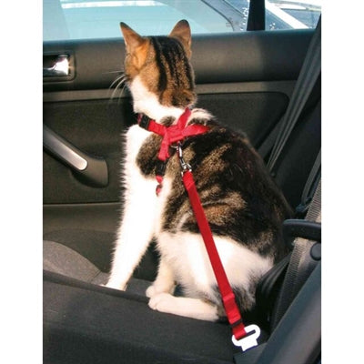 Trixie Katzengeschirr Auto – Maßangaben und Größen