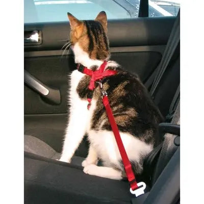 Trixie Katzengeschirr Für Auto Rot